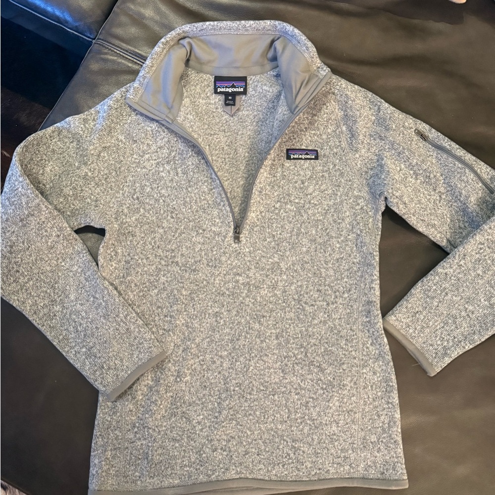 Patagonia Gray Fleece Jacket